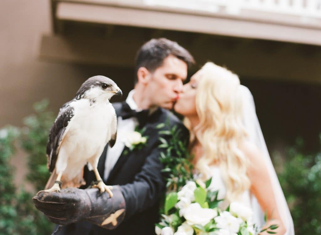 bride and groom holding a bird of prey and kissing at wedding reception coordinated by A. Marie Events & Design