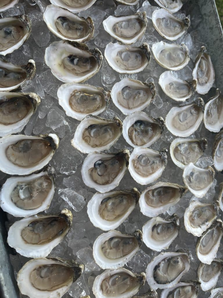 Cold oysters on display, Dean's Oyster Bar