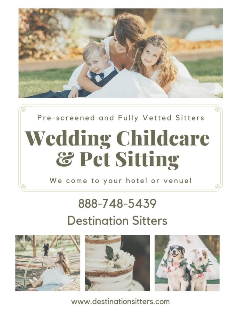 Flyer advertising the childcare and pet care services that Destination Sitters LLC offers, Central FL