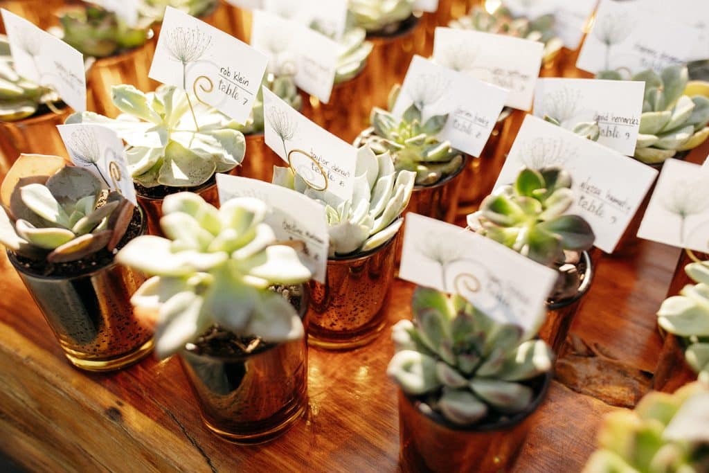 name cards for the reception, succulent plants, Orlando, FL