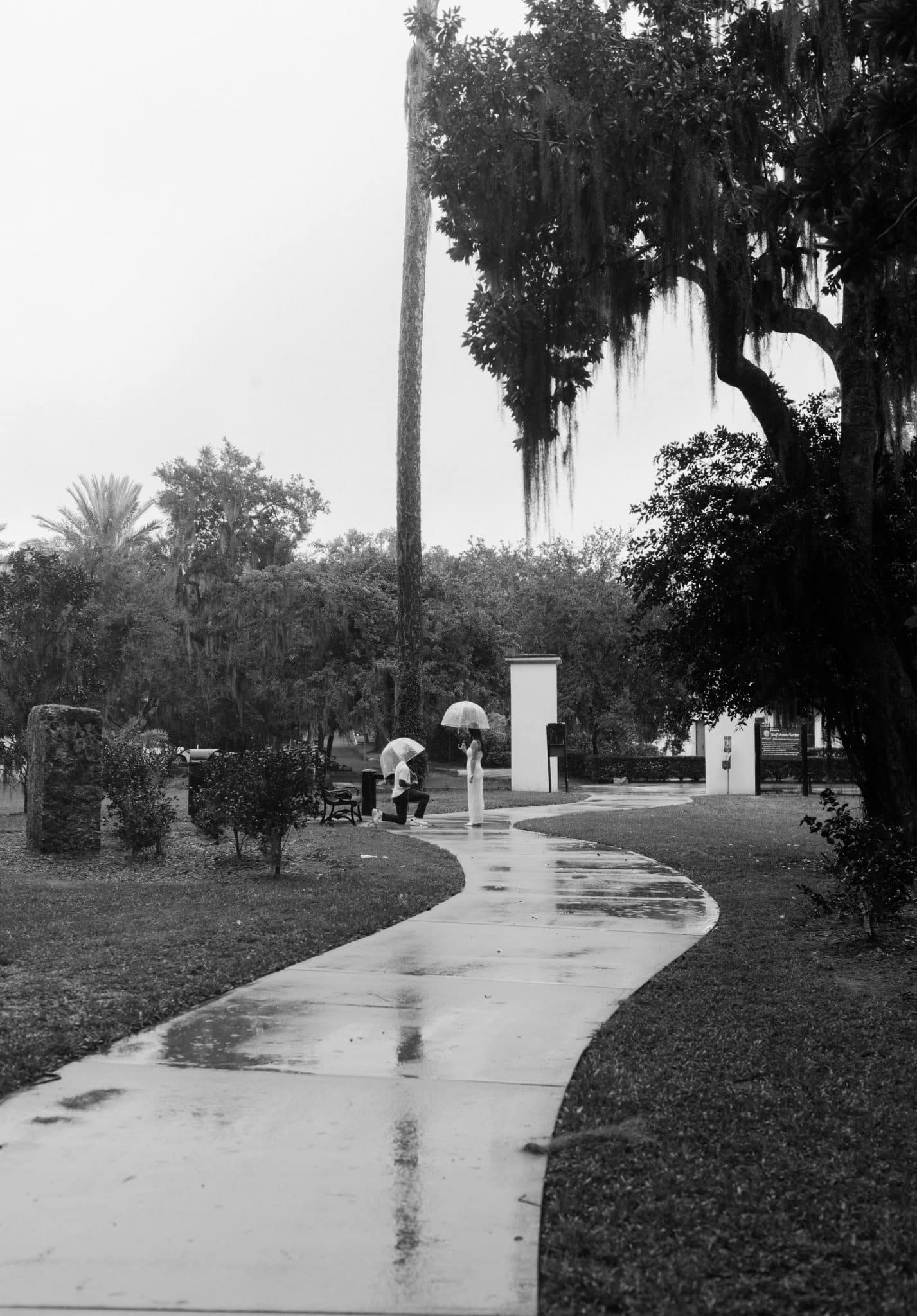 black and white picture of couple on sidewalk with umbrellas in the rain while man is on one knee proposing