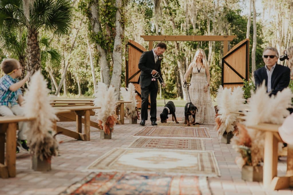 Bride and groom in front of wooden arch with their puppies down the aisle