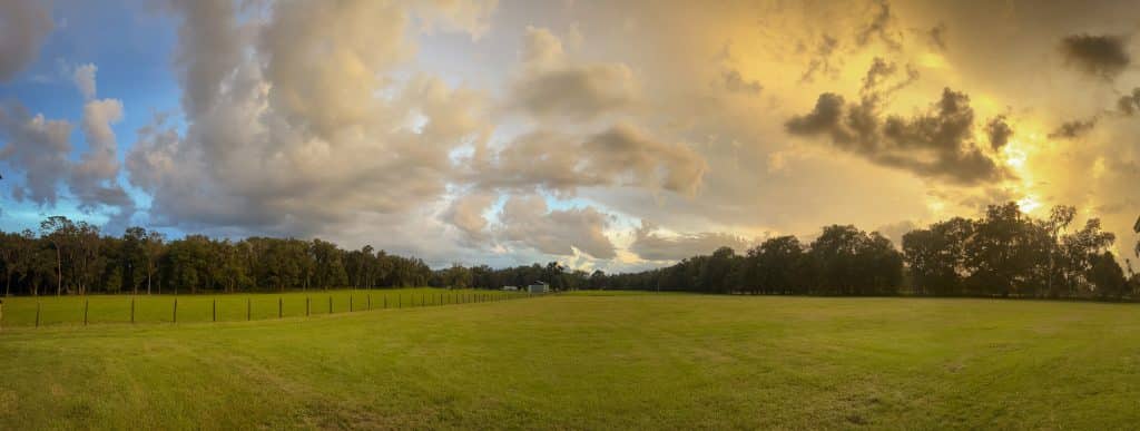 large open field, clouds rolling in, tree line in the background, Grass Campers Event Venue, Orlando, FL