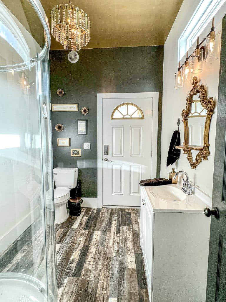 bathroom, shower, wood floor, gold framed mirror, sink vanity, Orlando, FL