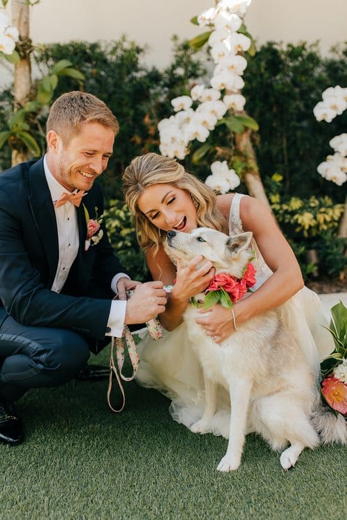 bride and groom with their dog, wedding day, Orlando, FL