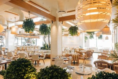 view of the restaurant, large windows, greenery hanging from the ceiling, large lights, Orlando, FL