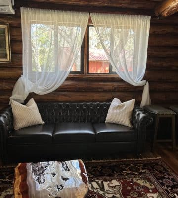 inside the cabin, leather sofa, white throw pillows, Orlando, FL