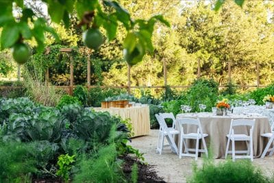 Outdoor garden wedding reception at Rosen Shingle Creek in Orlando Florida featuring white folding chairs, round tables with burlap linen and floral centerpieces, surrounded by lush vegetable garden beds and mature trees