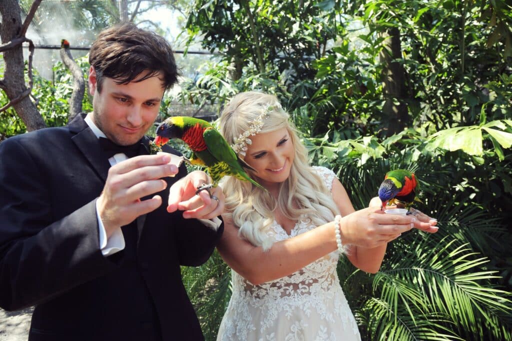 bride and groom each holding a bird and feeding them, Brevard Zoo, Orlando, FL