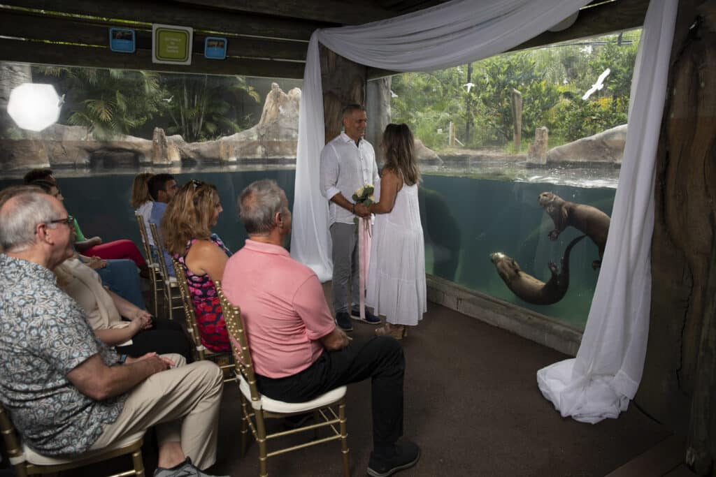 bride and groom exchanging vows, lodge, Orlando, FL