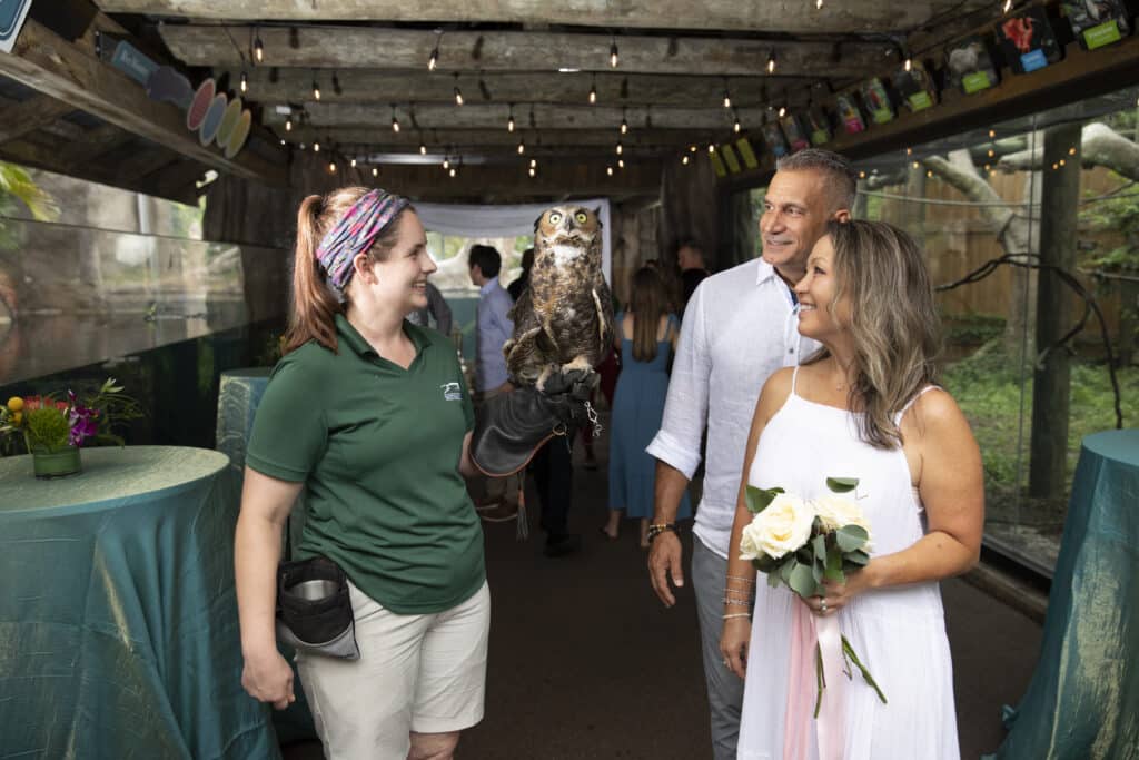 bride and groom talking with a Brevard Zoo staff member, Orlando, FL