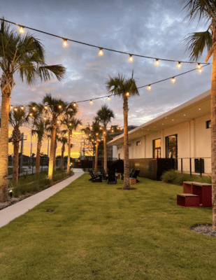 sunset, palm trees, grass along the sidewalk, the Great Southern Box Co., Orlando, FL