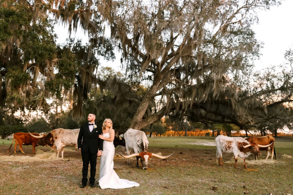 bride and groom on a farm, animals in the background, Orlando, FL