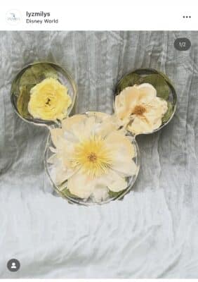 daisies pressed and shaped into a mickey head, Orlando, FL