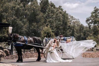 horse drawn carriage with a black horse, bride and groom kissing in front of the carriage, veil blowing in the wind, Villa Serafina, Orlando, FL