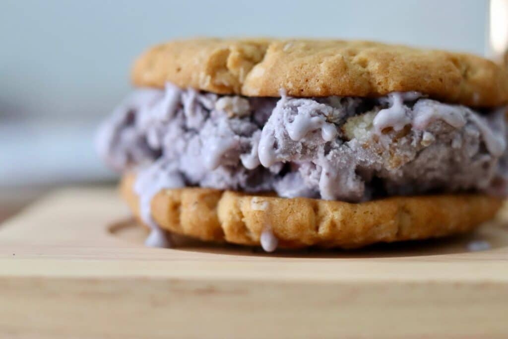 softened ice cream in between two cookies, Windol's Goods, Orlando, FL