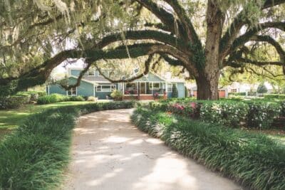 outdoor walking area, bushes, large tree, Orlando, FL