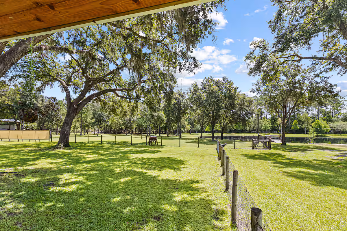 Lush green pasture with grazing horses, Spanish moss-draped live oak trees, wooden post fencing, and a serene pond in the background at Ruby Oaks Events wedding venue in Central Florida