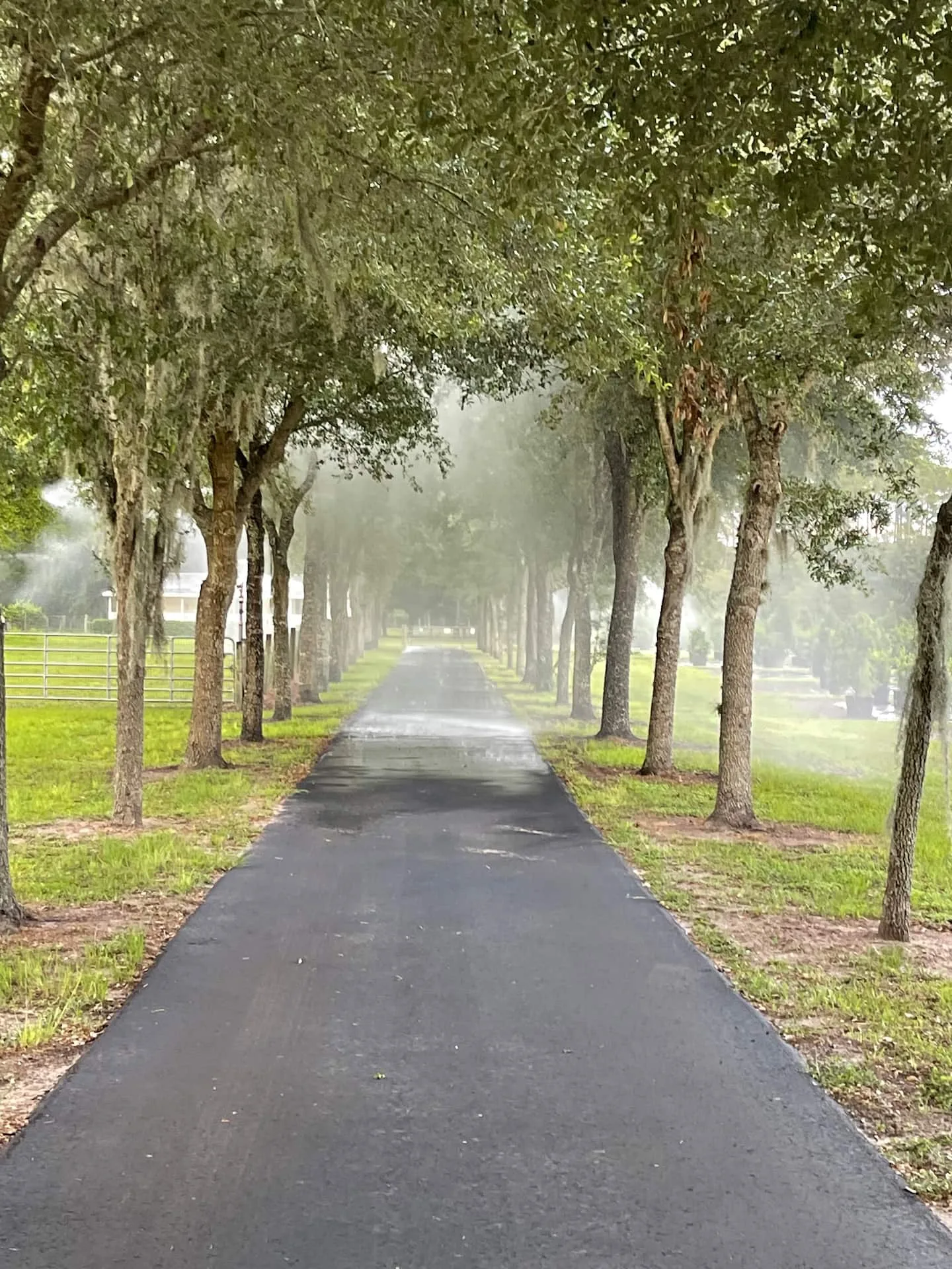 Tree-lined driveway entrance with Spanish moss and misty sprinklers at Ruby Oaks Events wedding venue in Central Florida