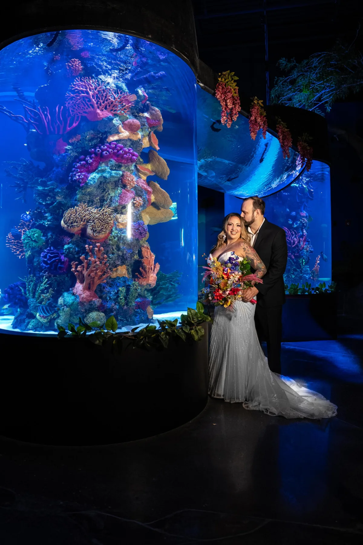 Daytona Aquarium and Rainforest Adventure
