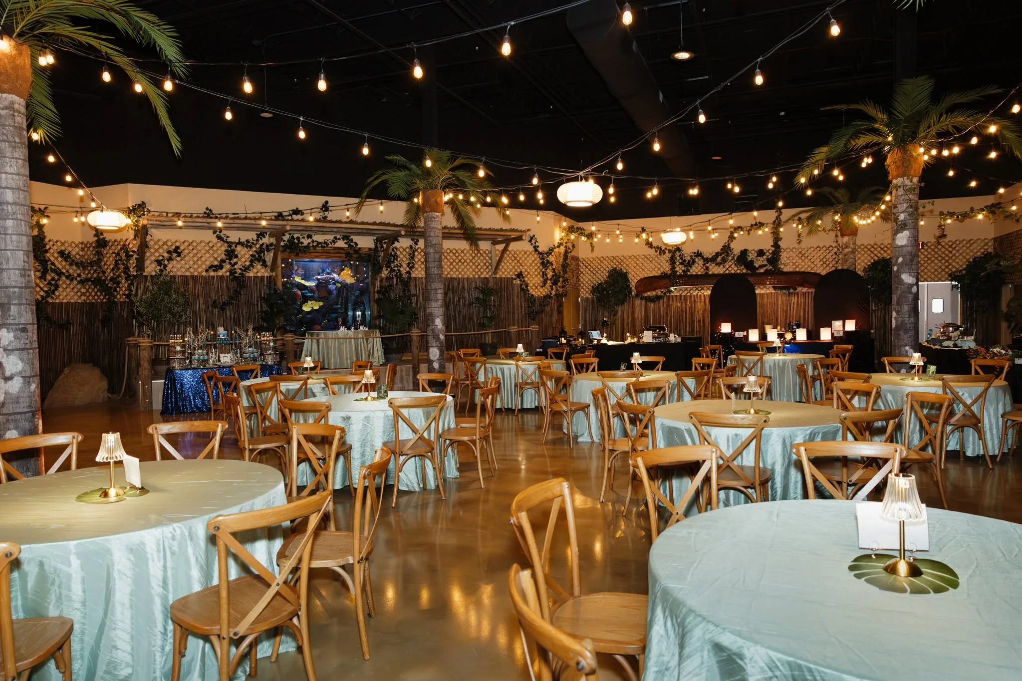 daytona-aquarium-and-rainforest-adventure-720bd335