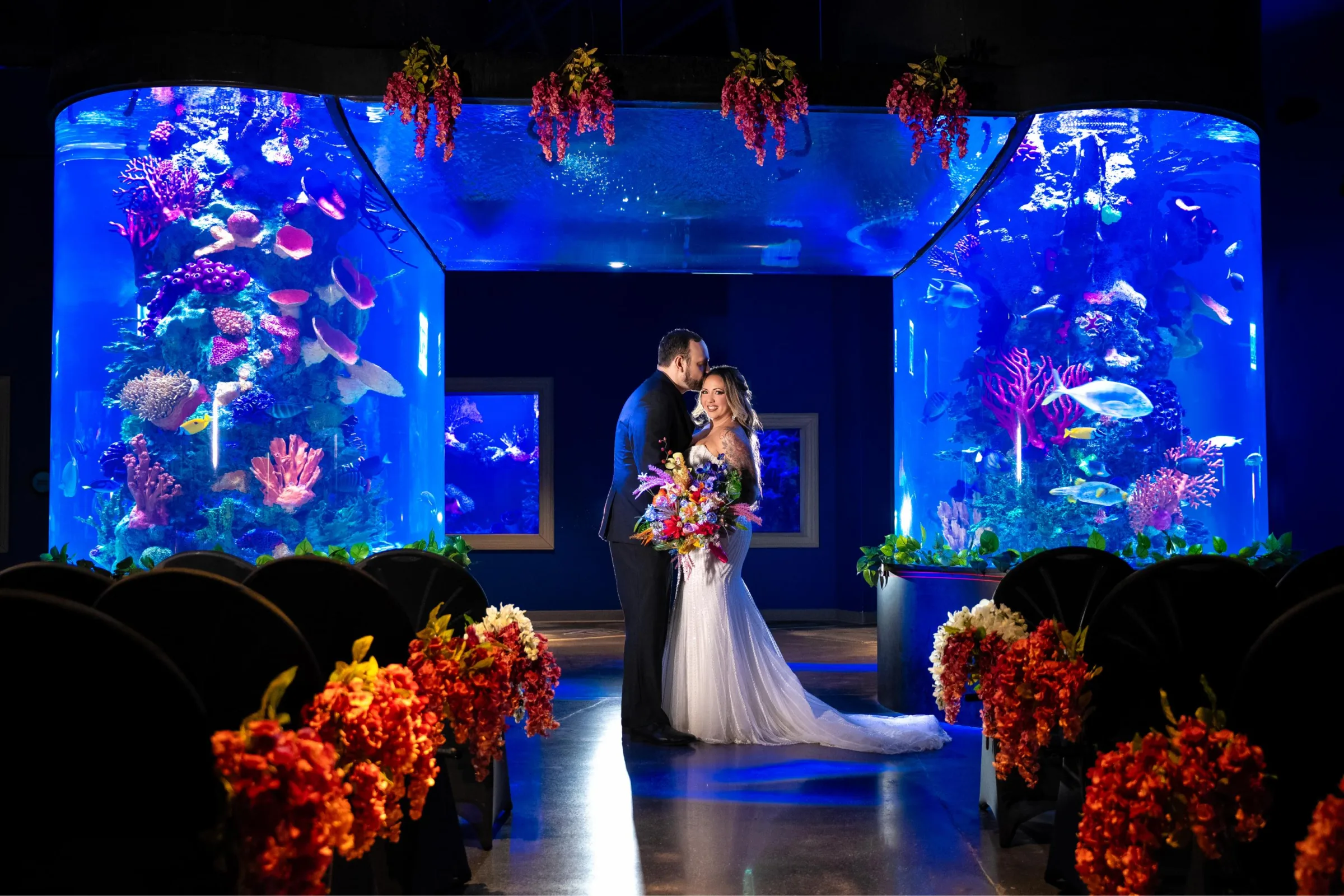 Daytona Aquarium and Rainforest Adventure
