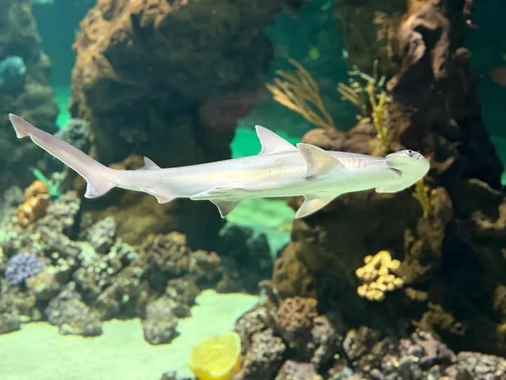 daytona-aquarium-and-rainforest-adventure-c6607e33