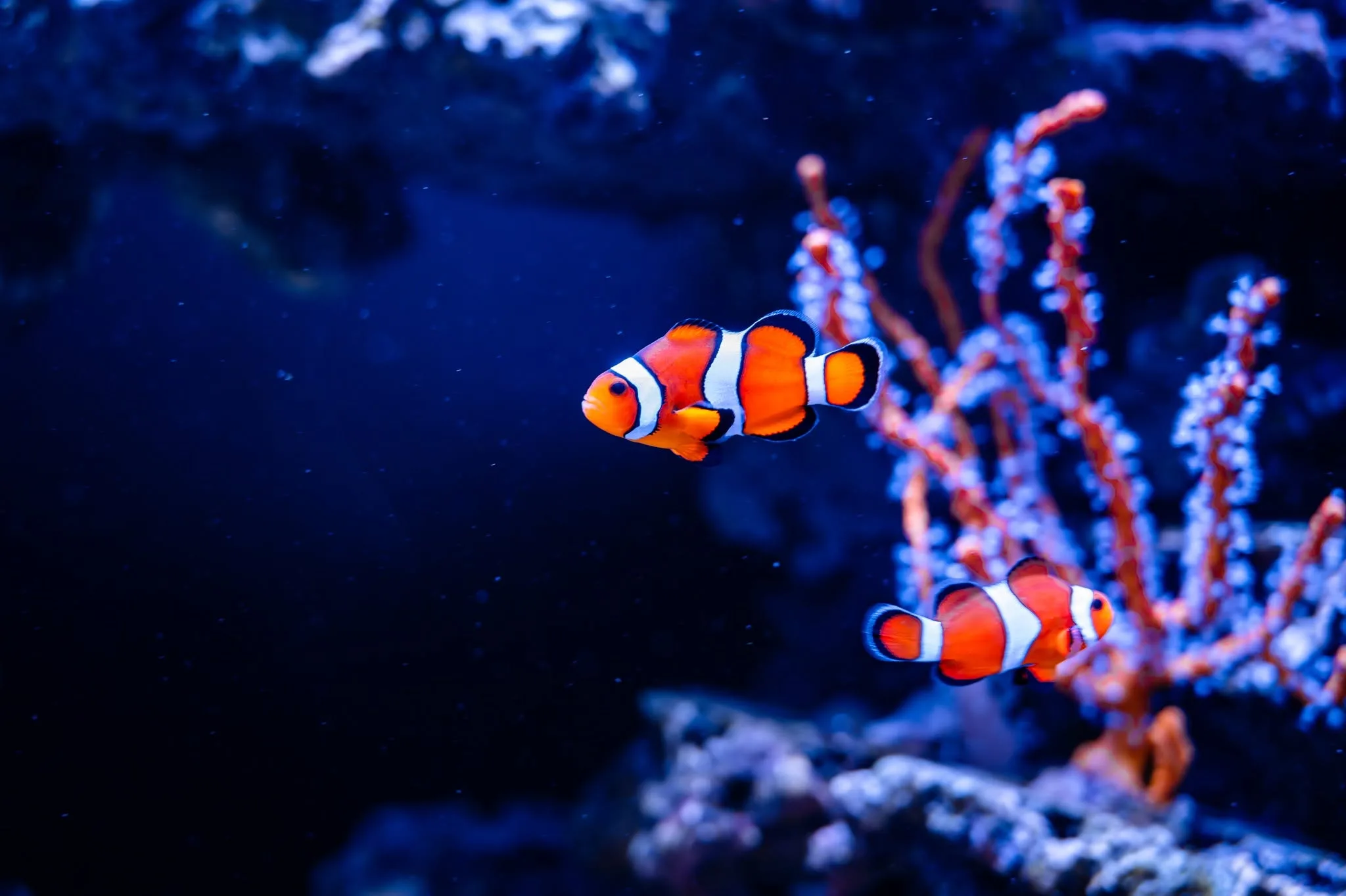 daytona-aquarium-and-rainforest-adventure-e3e39dfb