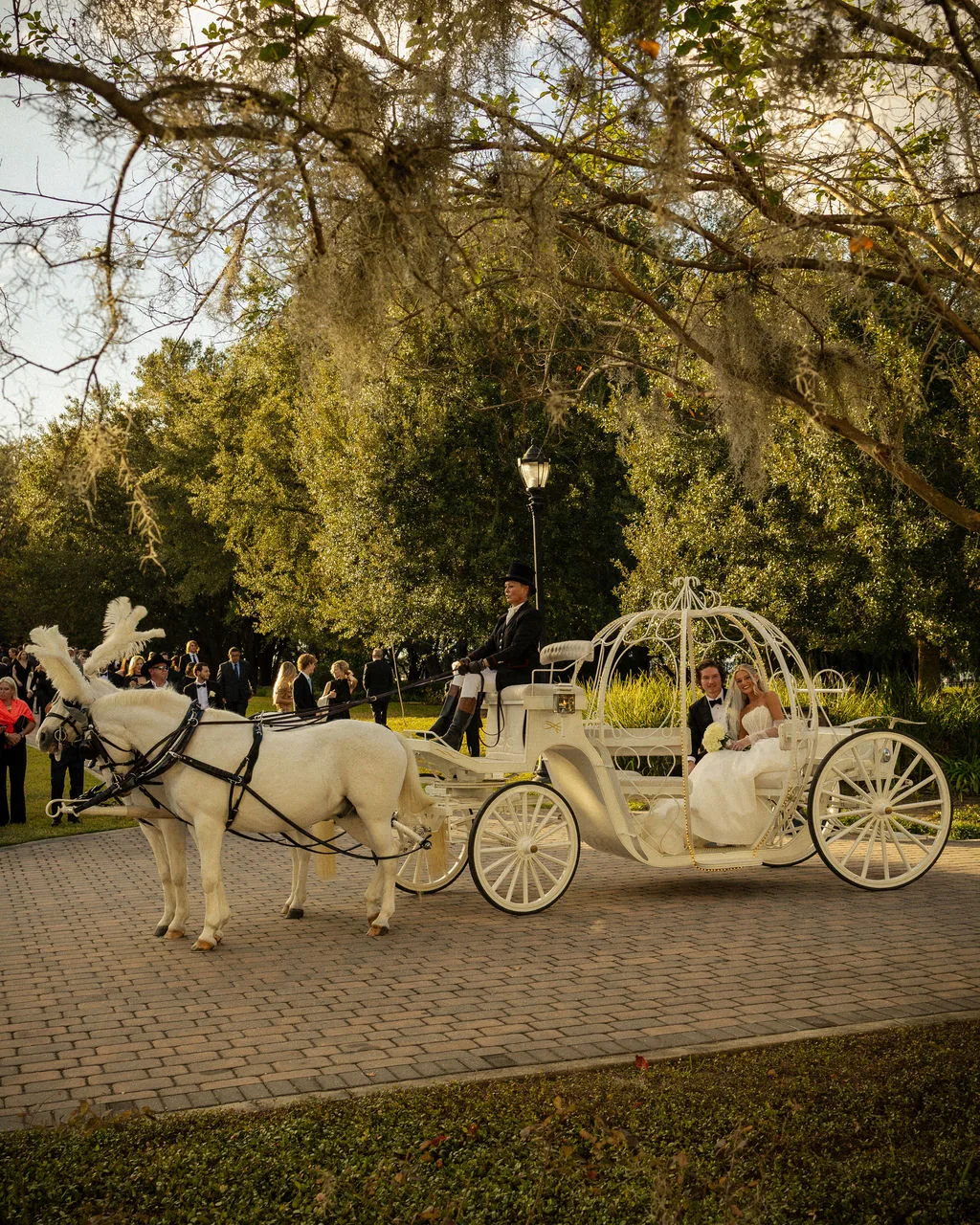 World Equestrian Center Wedding Planner, Ocala, Fl