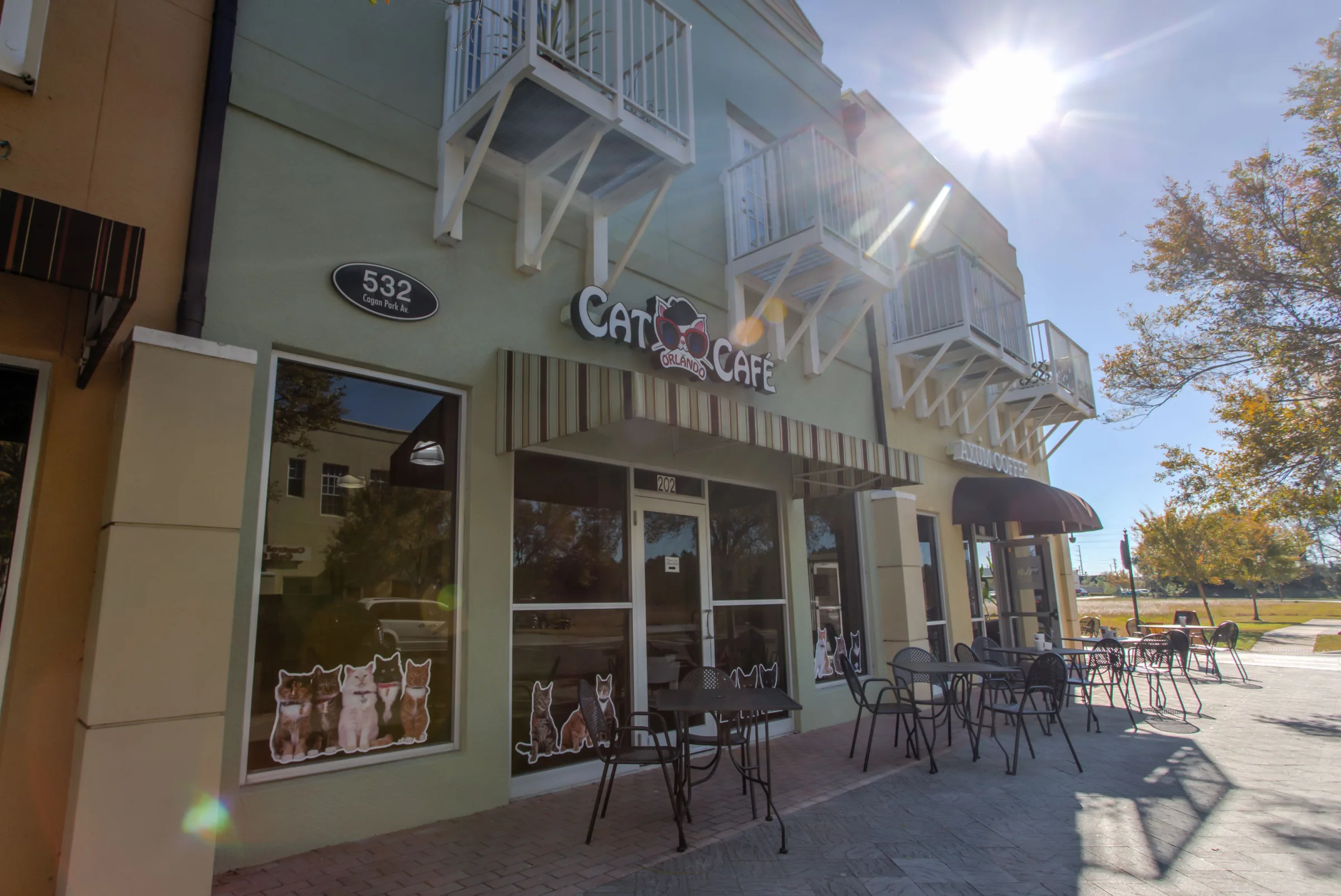 orlando cat cafe