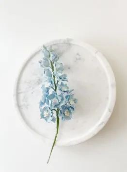 Sugar Flowers by Kelsie Cakes