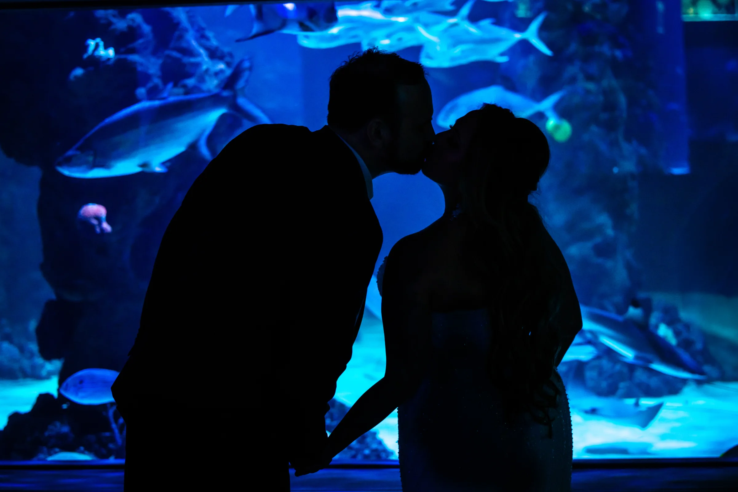 Silhouette of bride and groom kissing in front of a blue aquarium filled with tropical fish