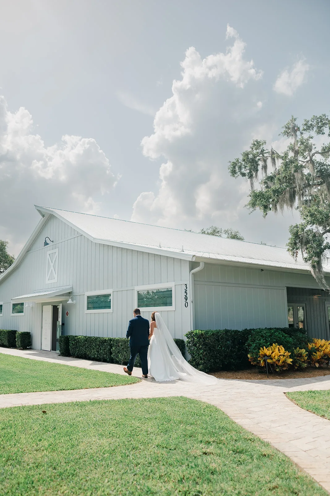 barn venue up the creek farms 4 - Wedding Venues Collections Bride and groom walking hand in hand toward a white barn wedding venue numbered 3590 surrounded by lush greenery and Spanish moss oak trees at Up the Creek Farms in Central Florida