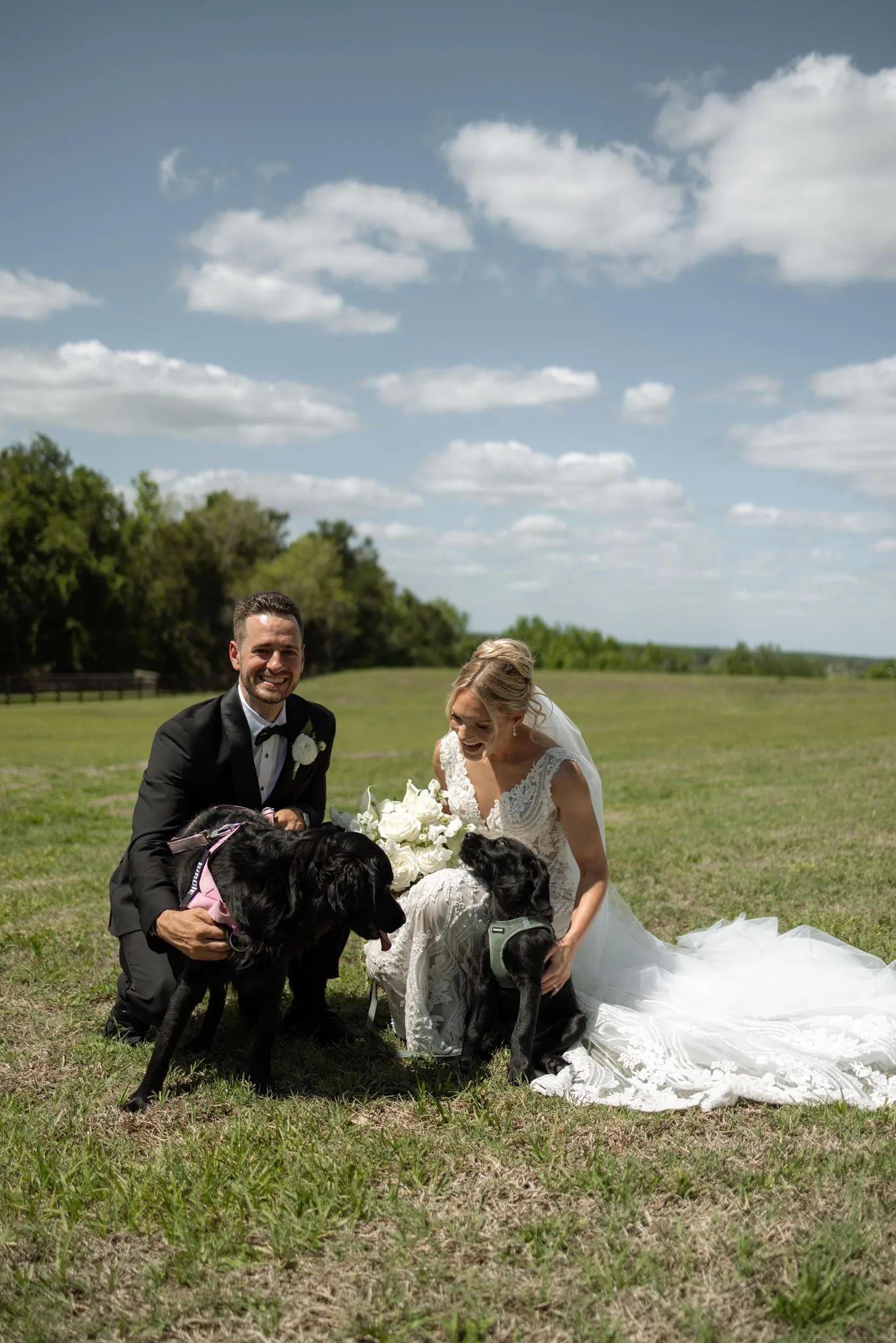 lilac ivory wedding bride groom dogs la hacienda - An Elegant Lilac and Ivory Wedding at La Hacienda on Snow Hill Bride and groom in wedding attire kneel with their two black Labrador dogs dressed in harnesses on the lawn at La Hacienda on Snow Hill in Orlando, Florida, during their lilac and ivory spring wedding celebration
