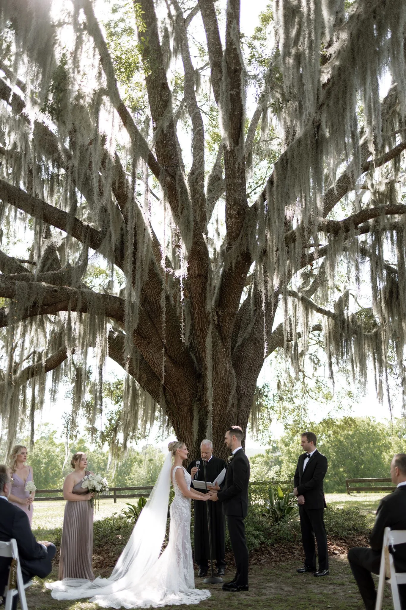 lilac ivory wedding ceremony live oak tree la hacienda - An Elegant Lilac and Ivory Wedding at La Hacienda on Snow Hill Bride and groom exchange vows beneath a massive Spanish moss-draped live oak tree at La Hacienda on Snow Hill in Central Florida for their lilac and ivory outdoor wedding ceremony