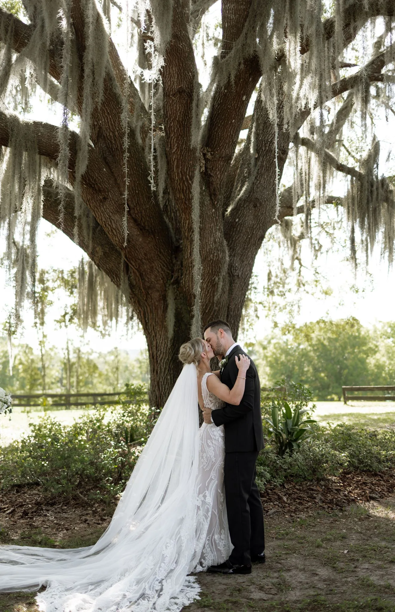lilac ivory wedding kiss live oak la hacienda - An Elegant Lilac and Ivory Wedding at La Hacienda on Snow Hill Bride and groom share their first kiss under a moss-draped live oak tree at La Hacienda on Snow Hill in Central Florida, bride wearing a lace cathedral gown with long veil for a lilac and ivory wedding celebration
